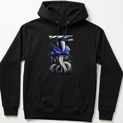 Cartoonish blue speed machine graphic with bold 'R Series' text — printed on a unisex hoodie