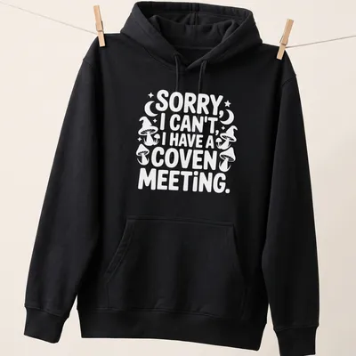 Playful graphic featuring the text 'Sorry I Can’t I Have A Coven Meeting' in black, white, and purple — printed on a unisex hoodie