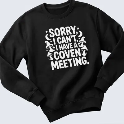 Playful graphic featuring the text 'Sorry I Can’t I Have A Coven Meeting' in black, white, and purple — printed on a unisex sweatshirt