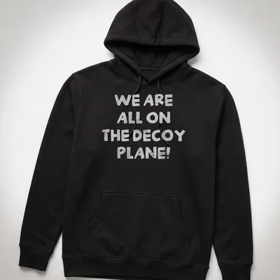 Playful typography t-shirt with the phrase 'We Are All On The Decoy Plane!' — printed on a unisex hoodie