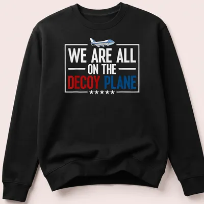Illustrative shirt featuring a decoy plane and playful text about life. — printed on a unisex sweatshirt