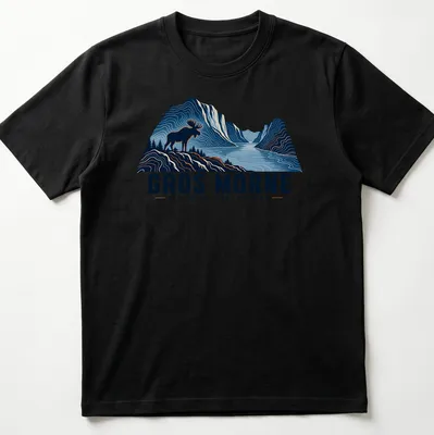 Illustration of a moose with text GROS MORNE NEWFOUNDLAND • CANADA in blue and orange