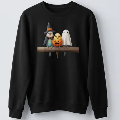 Colorful cartoon of budgies in costumes for Halloween with printed text — printed on a unisex sweatshirt