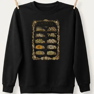 A detailed botanical illustration of various North American lichen species with printed names. — printed on a unisex sweatshirt