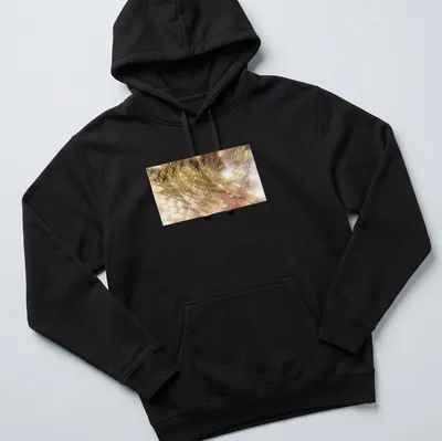 Prism-style graphic of Firebird feathers in gold, pink, and white — printed on a unisex hoodie