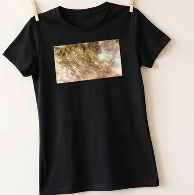 Prism-style graphic of Firebird feathers in gold, pink, and white — printed on a women's shirt