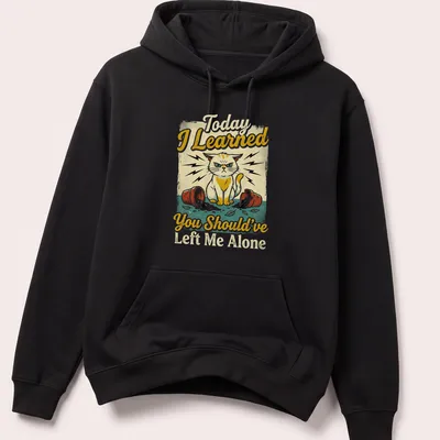 Vintage distressed shirt featuring a mischievous cat and a humorous quote about feline antics — printed on a unisex hoodie