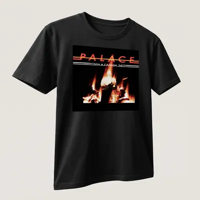 Retro T-shirt featuring Palace USA & Canada tour 2026 text in bold style — printed on a unisex t-shirt (angled view)