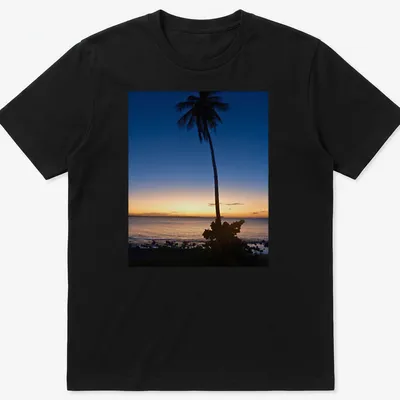 Silhouette of a palm tree against a colorful sunset horizon.