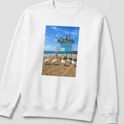 Photographic design of pelicans with humorous text about roofs. — printed on a unisex sweatshirt