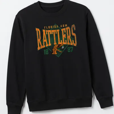 Heritage block letters with a rattlesnake graphic on a Florida A&M — printed on a unisex sweatshirt