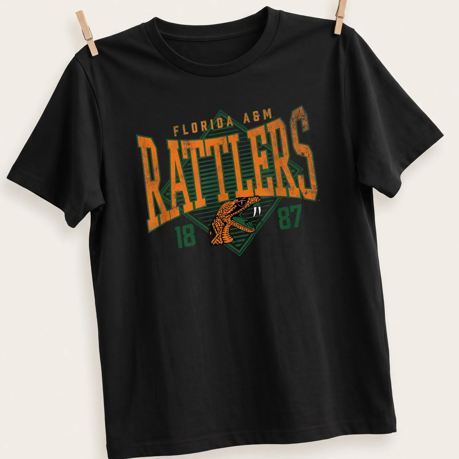 Heritage block letters with a rattlesnake graphic on a Florida A&M — printed on a unisex t-shirt