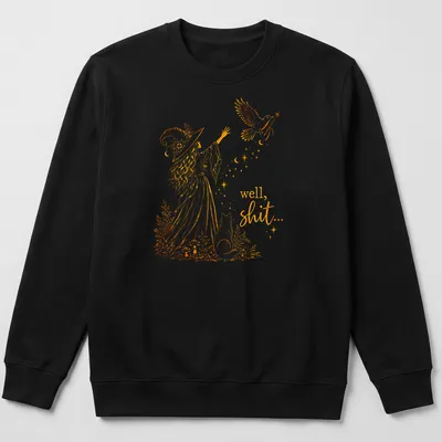 Whimsical line-art of a witch with a crow and magic wand, with text below. — printed on a unisex sweatshirt